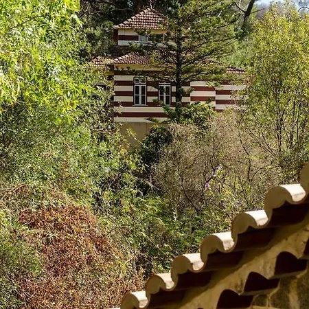 Chalet Monchique Дом отдыха Моншики
